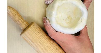 Pravěké umění v české škole